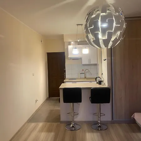 Srodmiescie Apartment *